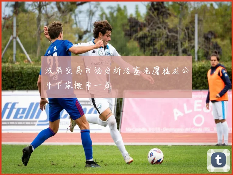 浓眉交易市场分析活塞老鹰猛龙公牛下家概率一览