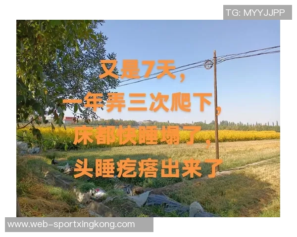 提升身体状态的秘诀华子分享理想睡眠时间每日九到十小时的重要性